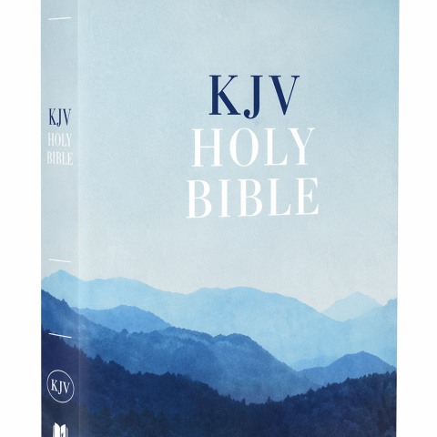 KJV, Value Outreach Bible, Paperback