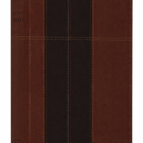 Study Bible-KJV