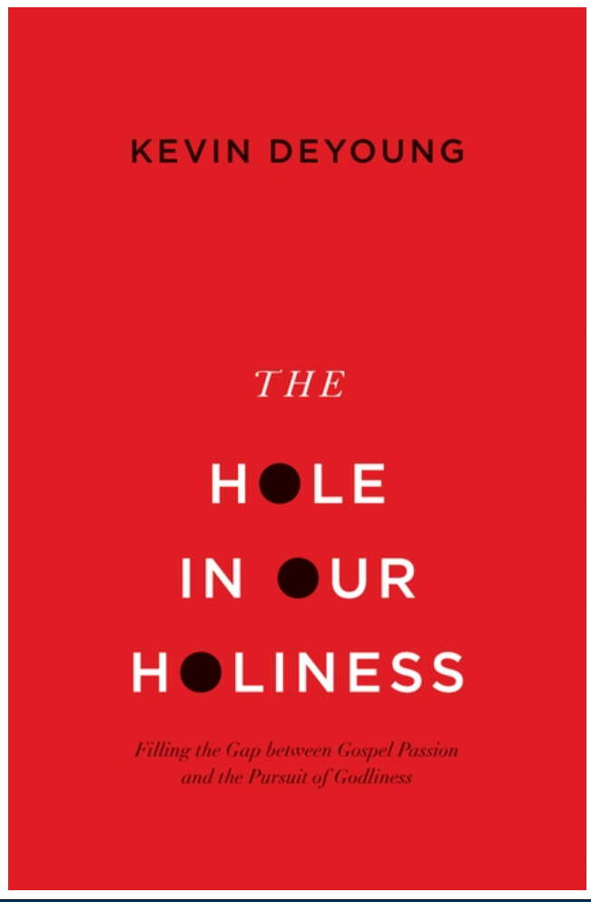 The Hole in Our Holiness: Filling the Gap Between Gospel Passion and the Pursuit of Godliness (Paperback Edition) cover